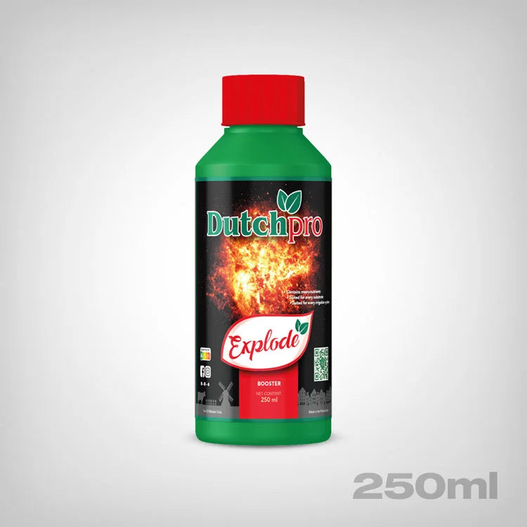 DutchPro Explode, 250ml-1L