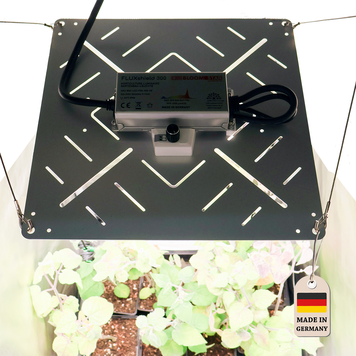 FLUXshield 300cSpec Enhanced