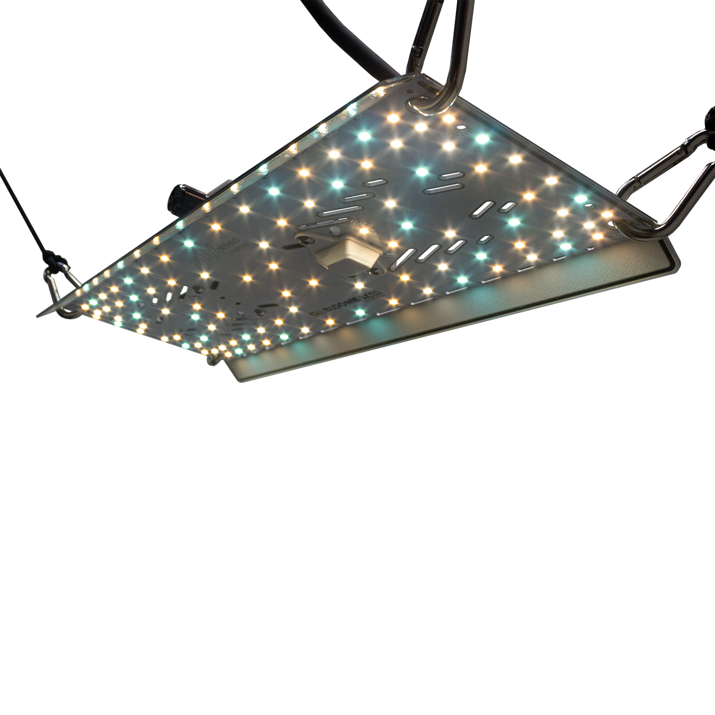 FLUXshield Habibi 135-140-150