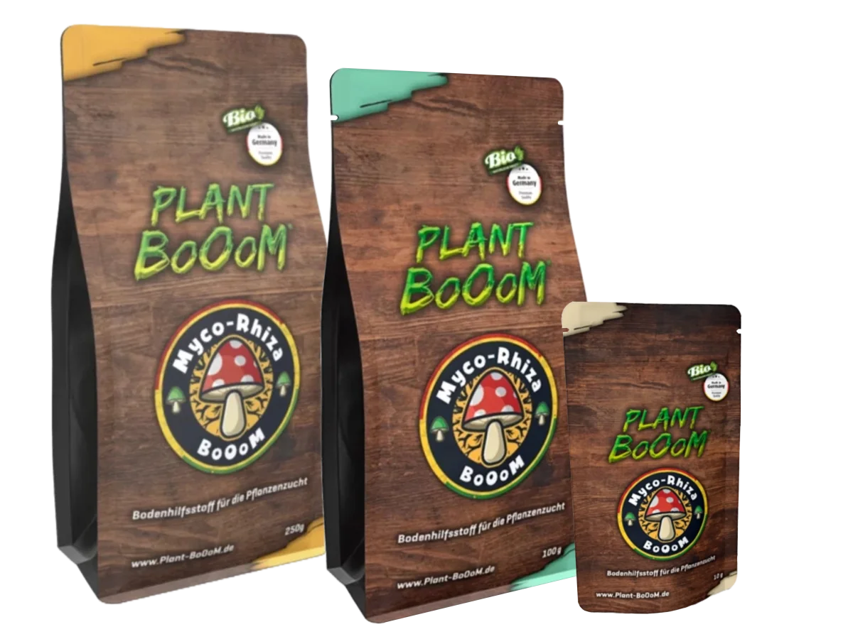 Plant BoOom - Myco-Rhiza BoOoM