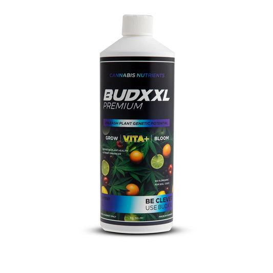 BUDXXL Vita+