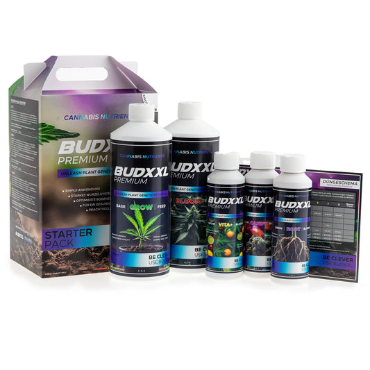 BUDXXL Starter-Pack