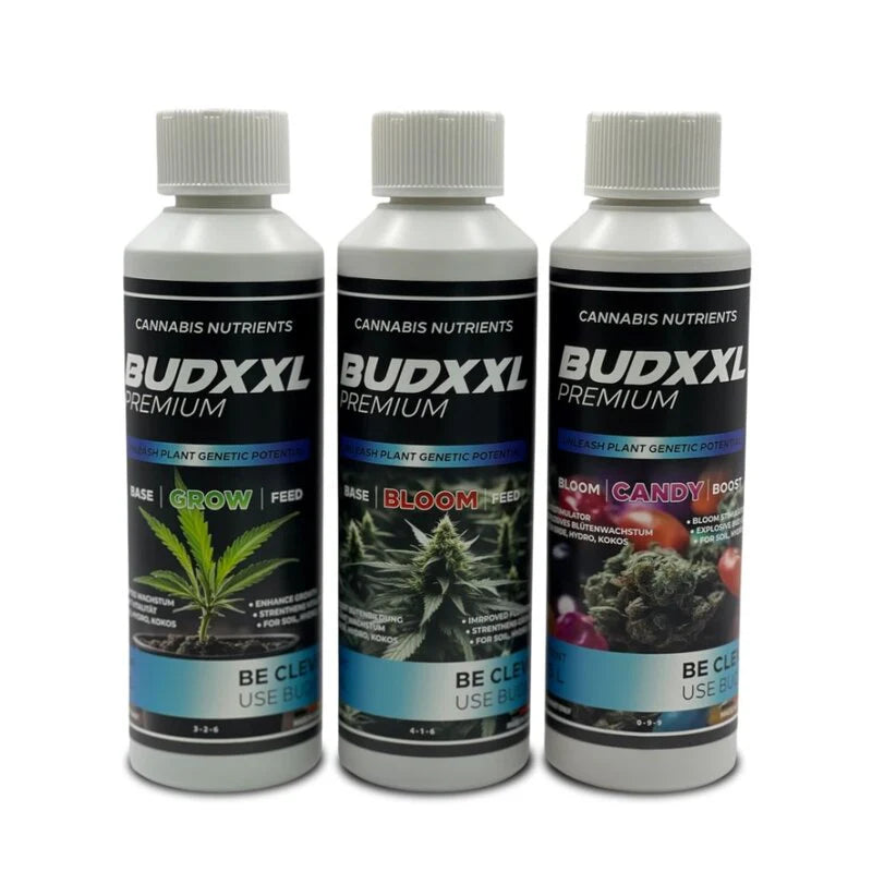 BUDXXL Grow-Box Starterset
