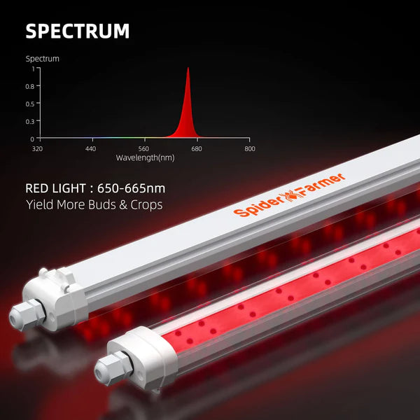 Spider Farmer GlowR80 Deep Red LED Zusatzbeleuchtung 80 Watt