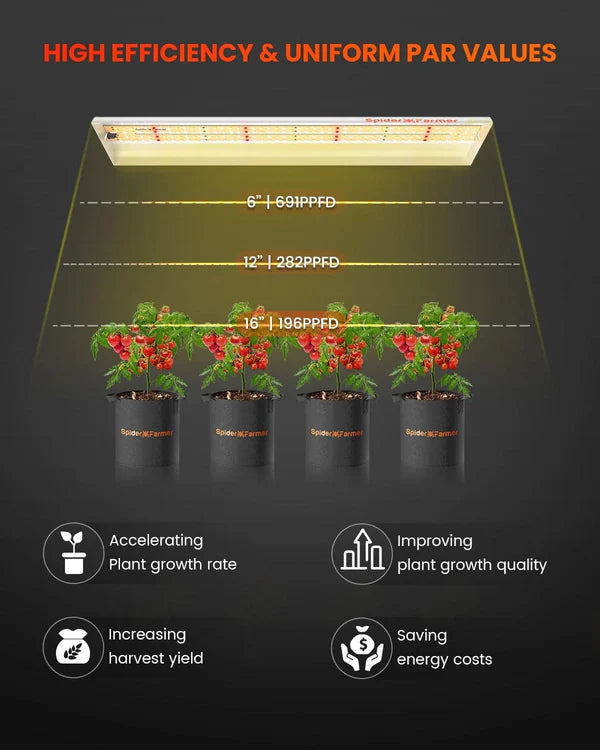 Spider Farmer SF300 LED 33 Watt