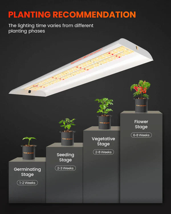 Spider Farmer SF300 LED 33 Watt