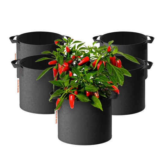 Spider Farmer 5er Set Stofftöpfe 42 L