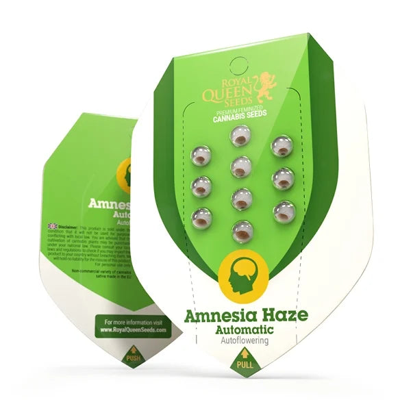 Royal Queen Seeds - Amnesia Haze Auto