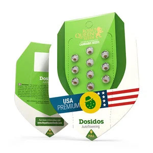 Royal Queen Seeds - Do-Si-Dos Auto