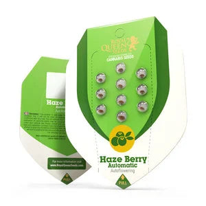 Royal Queen Seeds - Haze Berry Auto