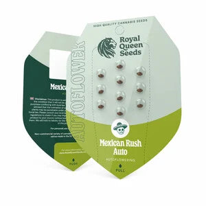 Royal Queen Seeds - Mexican Rush Auto