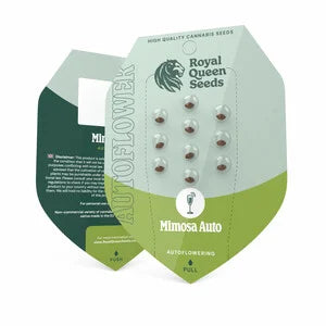 Royal Queen Seeds - Mimosa Auto