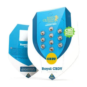 Royal Queen Seeds - Royal CBDV Automatic