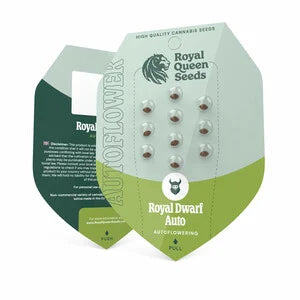 Royal Queen Seeds - Royal Dwarf