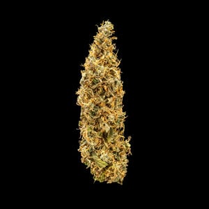 Royal Queen Seeds - Royal Runtz Auto