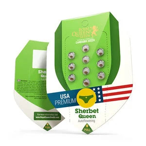 Royal Queen Seeds - Sherbet Queen Auto