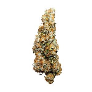 Royal Queen Seeds - Wedding Cake Auto