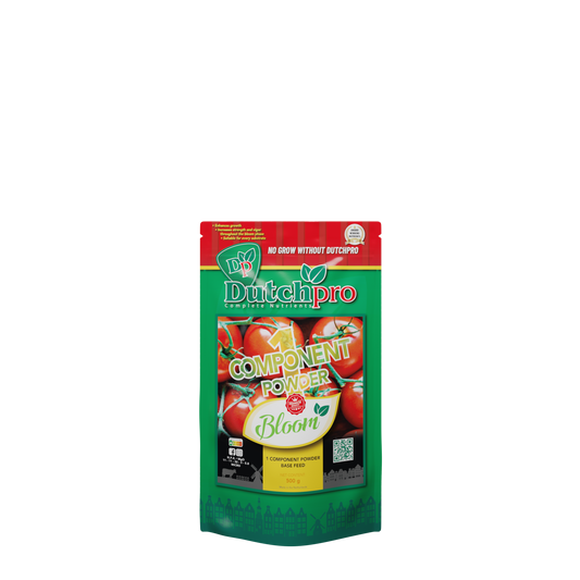 DutchPro 1 Komponent Pulver Bloom