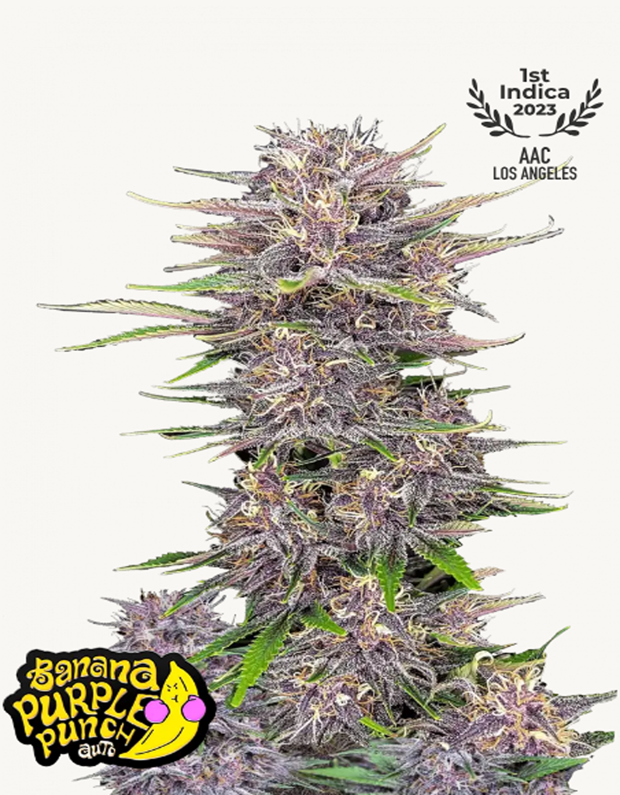 42FastBuds - Banana Purple Punch Auto