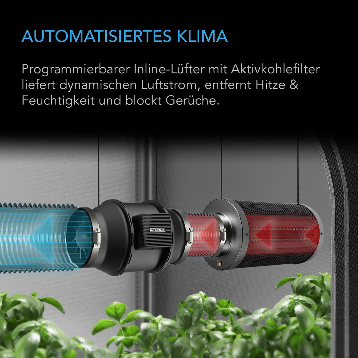 AC Infinitfy Advance Grow Zelt-System 60 x 60 x 180 cm, 1-Pflanzen-Set
