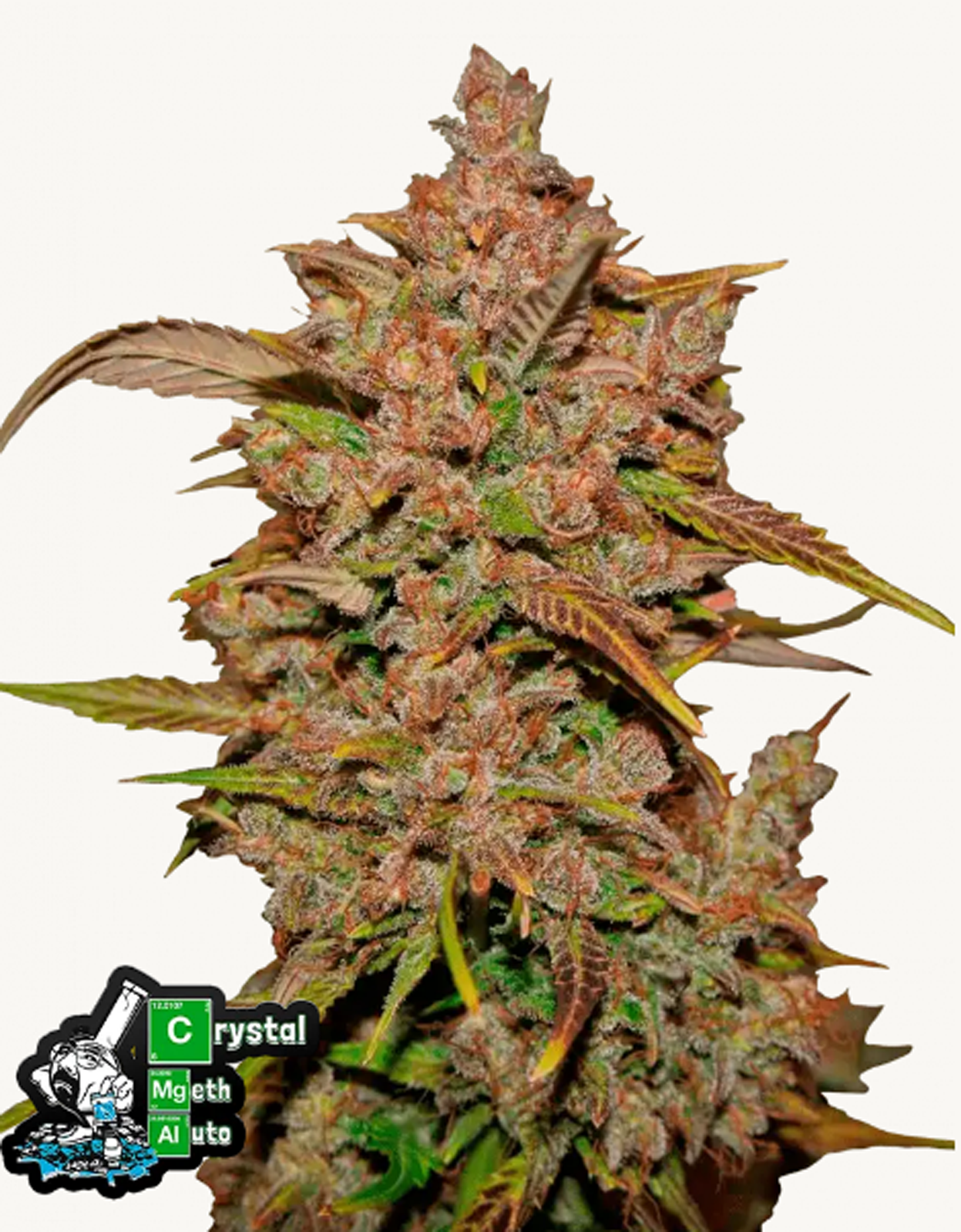 42FastBuds - Crystal Meth Auto