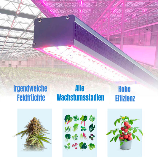 HortiSpectra  - G600 S-4 PLUX Max