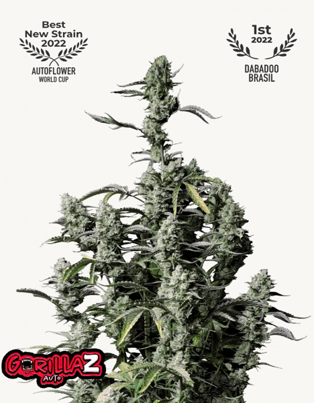 42FastBuds - Gorilla Z Auto