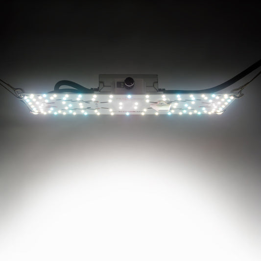FLUXshield Habibi 135-140-150