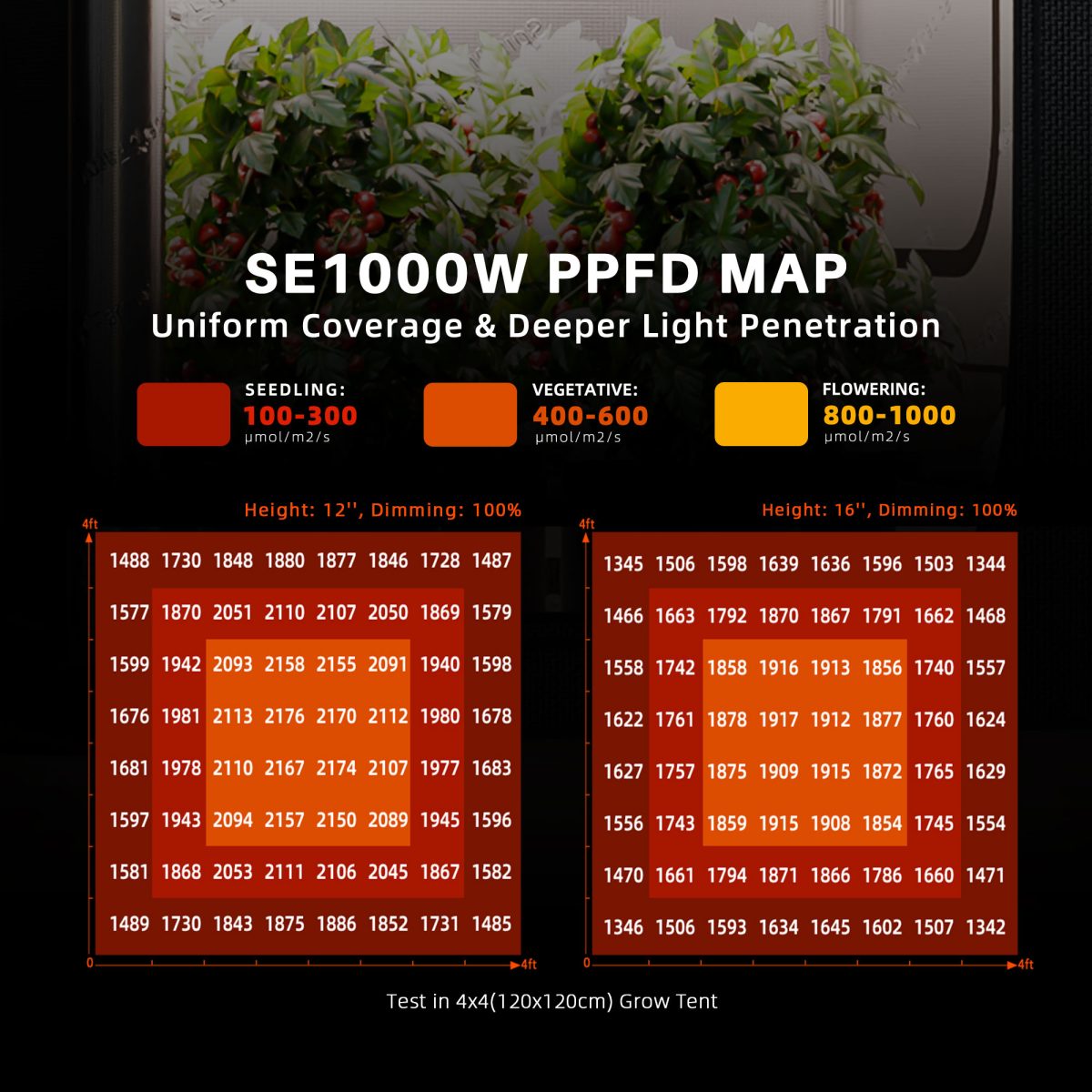 Spider Farmer SE1000W LED-Pflanzenlampe Samsung LM301H EVO für den kommerziellen vertikalen Anbau mit Bluetooth- und WLAN-App-Steuerung (Pflanzenlampe)