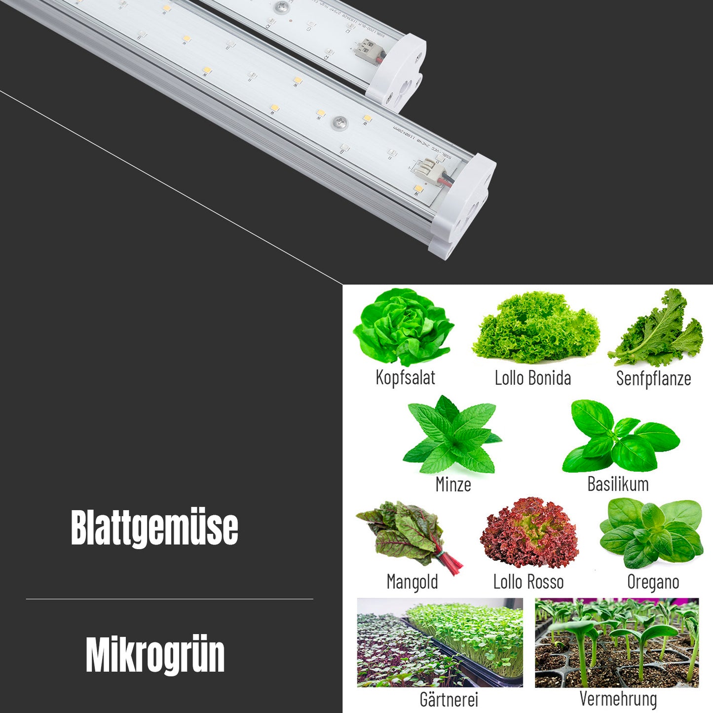 HortiSpectra - SSBL1200 VEG/BLM