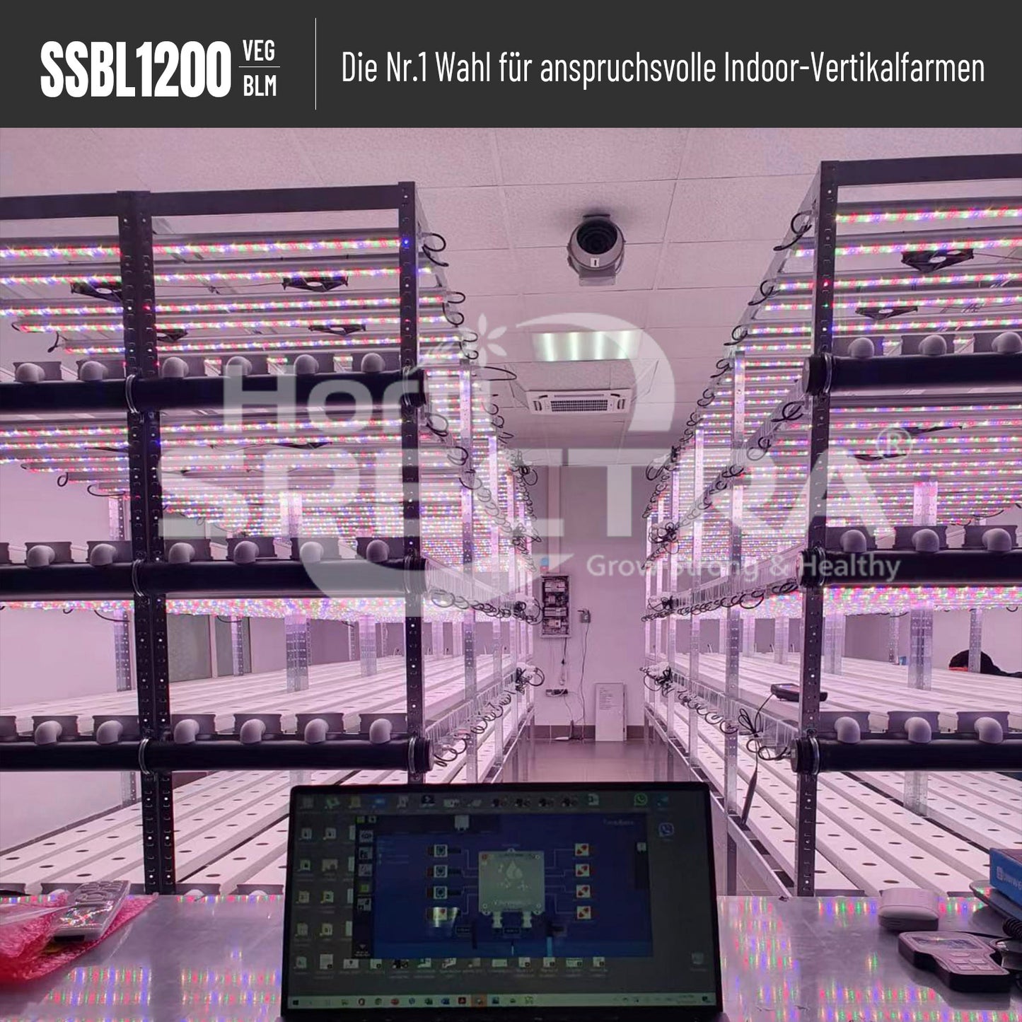 HortiSpectra - SSBL1200 VEG/BLM