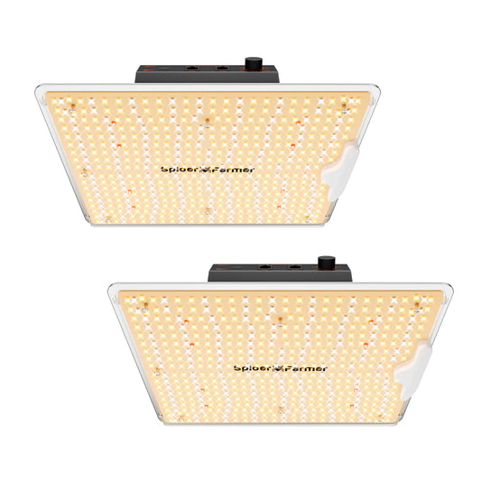 2er-Pack | Neue Spider Farmer SF1000D 100W Vollspektrum-LED-Pflanzenlampe (2026) für 120x60cm Zelt (2-4 Pflanzen)