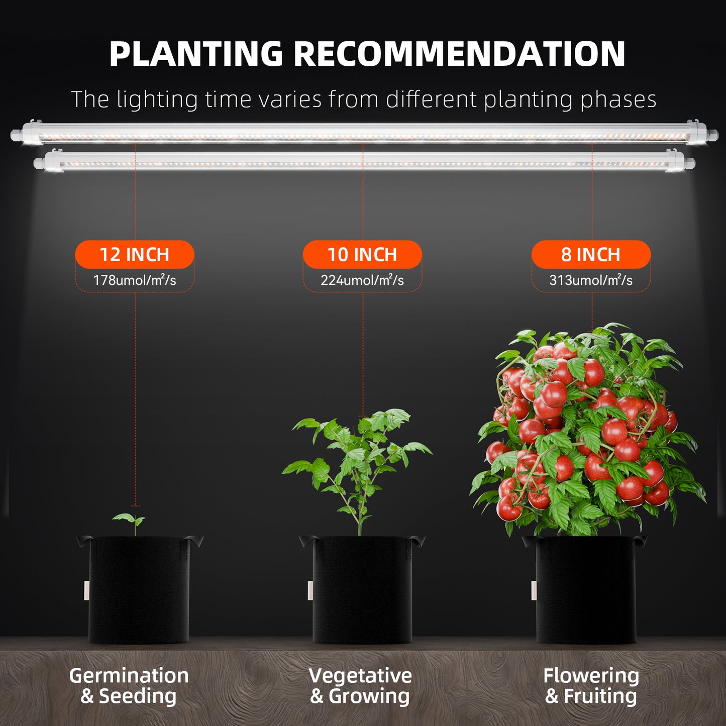 Anfängerfreundlich | Spider Farmer Glow80 80W LED-Pflanzenlampe mit 4 Anzuchtschalen und 52 x 25 cm Anzuchtschale mit Heizmatte für Sämlinge