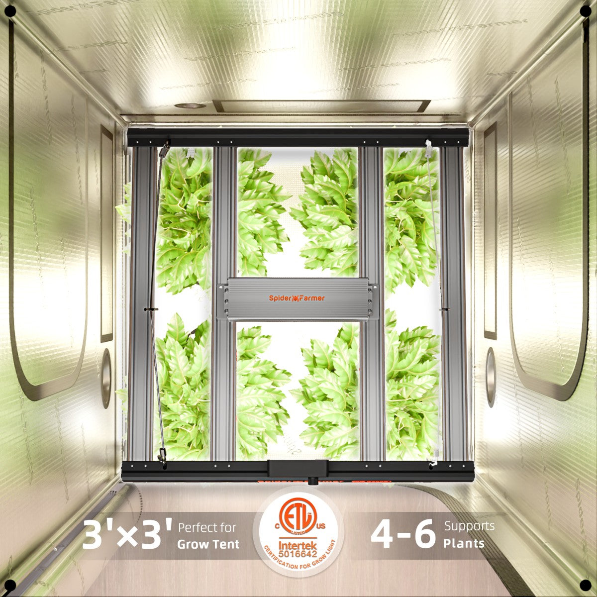 Spider Farmer® G3000 300W WLAN- und Bluetooth-gesteuerte LED-Pflanzenlampe mit Vollspektrum, dimmbar, für Growzelte von 60x60cm bis 90x90cm