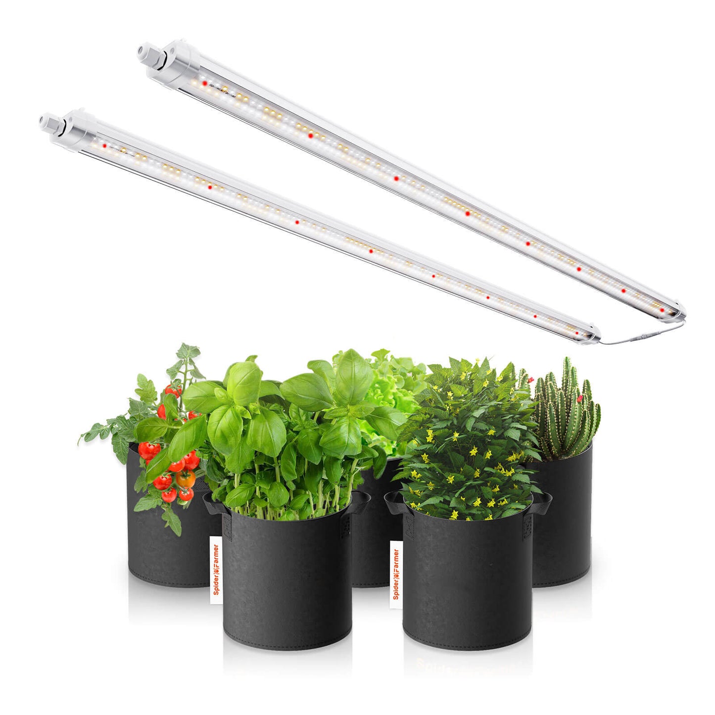 Spider Farmer® Glow80 80W LED-Pflanzenlampenleisten (2026), Vollspektrum, IP65 wasserdicht, mehrere Lampen koppelbar, für Zimmerpflanzen, Sukkulenten, Stecklinge, Wachstums- und Blütephase.
