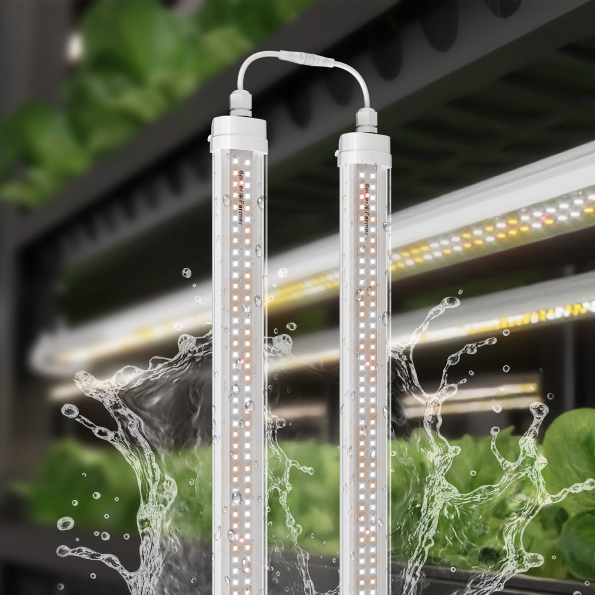 Spider Farmer® Glow80 80W LED-Pflanzenlampenleisten (2026), Vollspektrum, IP65 wasserdicht, mehrere Lampen koppelbar, für Zimmerpflanzen, Sukkulenten, Stecklinge, Wachstums- und Blütephase.