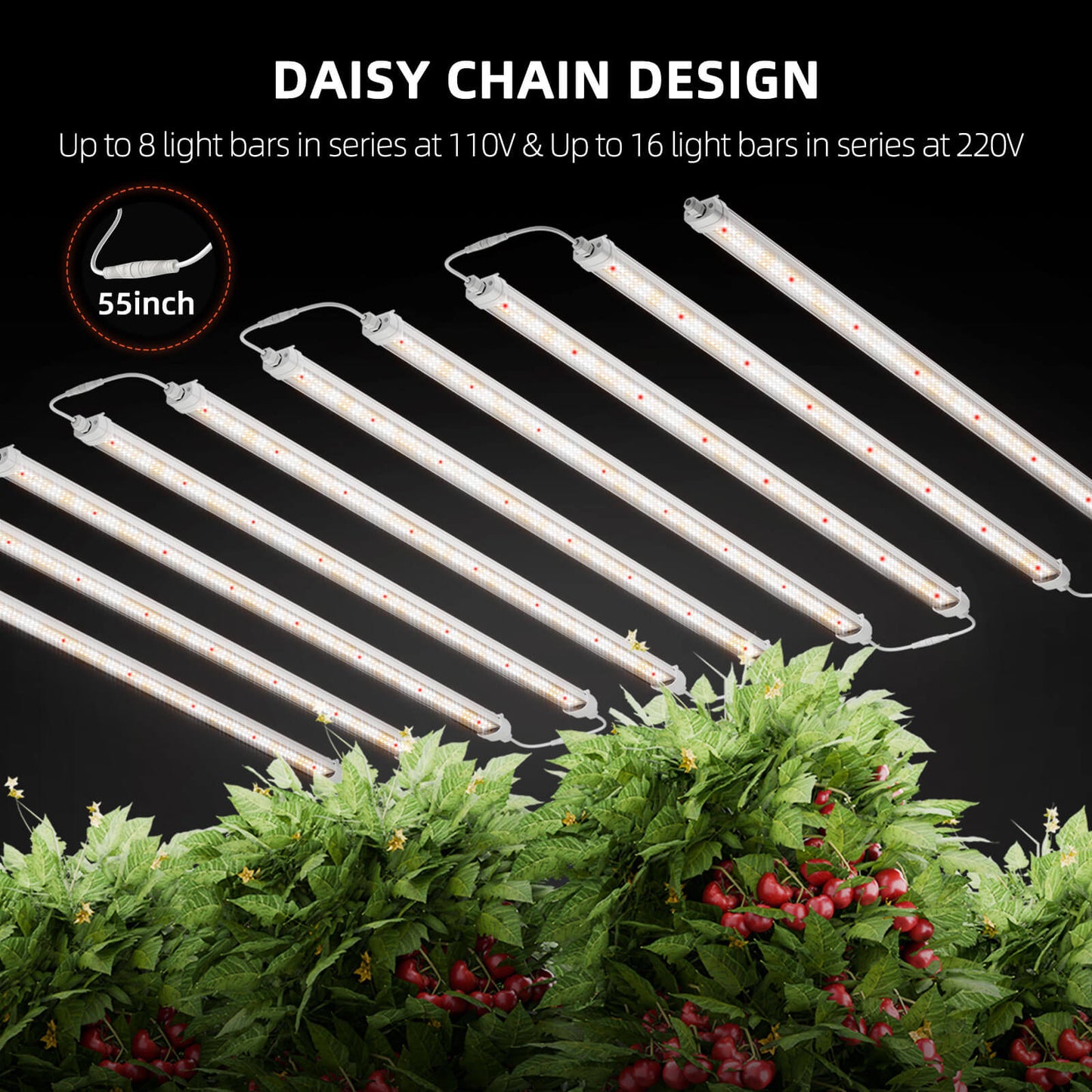 Spider Farmer® Glow80 80W LED-Pflanzenlampenleisten (2026), Vollspektrum, IP65 wasserdicht, mehrere Lampen koppelbar, für Zimmerpflanzen, Sukkulenten, Stecklinge, Wachstums- und Blütephase.