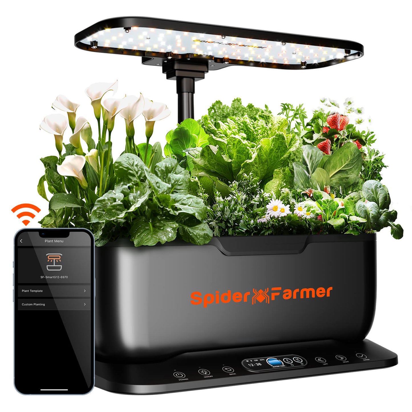Spider Farmer SmartG12 Hydroponik-Gartensystem-Set (2026) | Hydroponik-System-Set – WLAN- und App-gesteuerter Kräutergarten für den Innenbereich mit 36-W-Pflanzenlampe, 12 Pflanzkapseln und 6-Liter-Tank