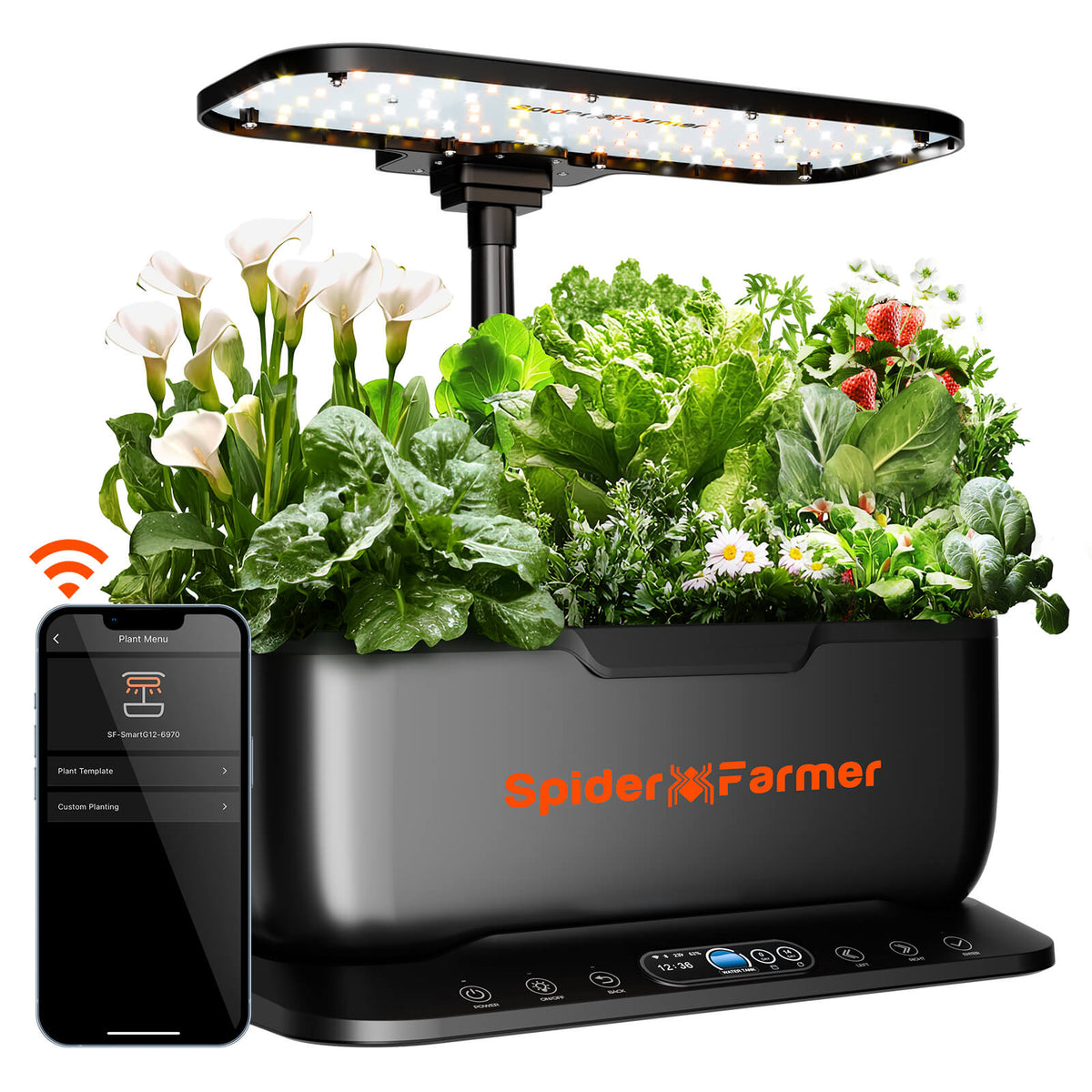 Spider Farmer SmartG12 Hydroponik-Gartensystem-Set (2026) | Hydroponik-System-Set – WLAN- und App-gesteuerter Kräutergarten für den Innenbereich mit 36-W-Pflanzenlampe, 12 Pflanzkapseln und 6-Liter-Tank