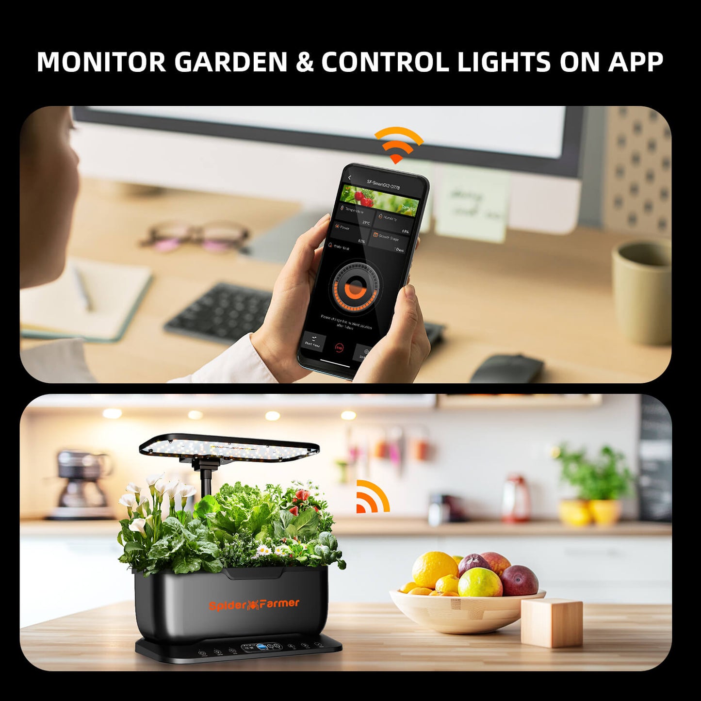 Spider Farmer SmartG12 Hydroponik-Gartensystem-Set (2026) | Hydroponik-System-Set – WLAN- und App-gesteuerter Kräutergarten für den Innenbereich mit 36-W-Pflanzenlampe, 12 Pflanzkapseln und 6-Liter-Tank