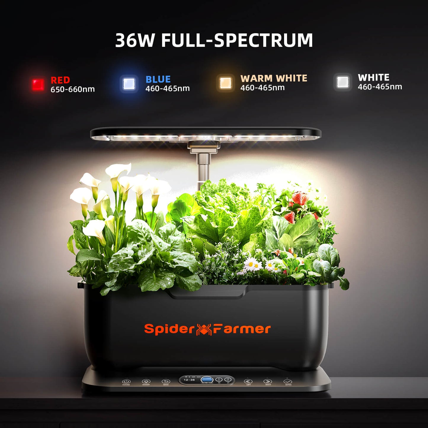 Spider Farmer SmartG12 Hydroponik-Gartensystem-Set (2026) | Hydroponik-System-Set – WLAN- und App-gesteuerter Kräutergarten für den Innenbereich mit 36-W-Pflanzenlampe, 12 Pflanzkapseln und 6-Liter-Tank