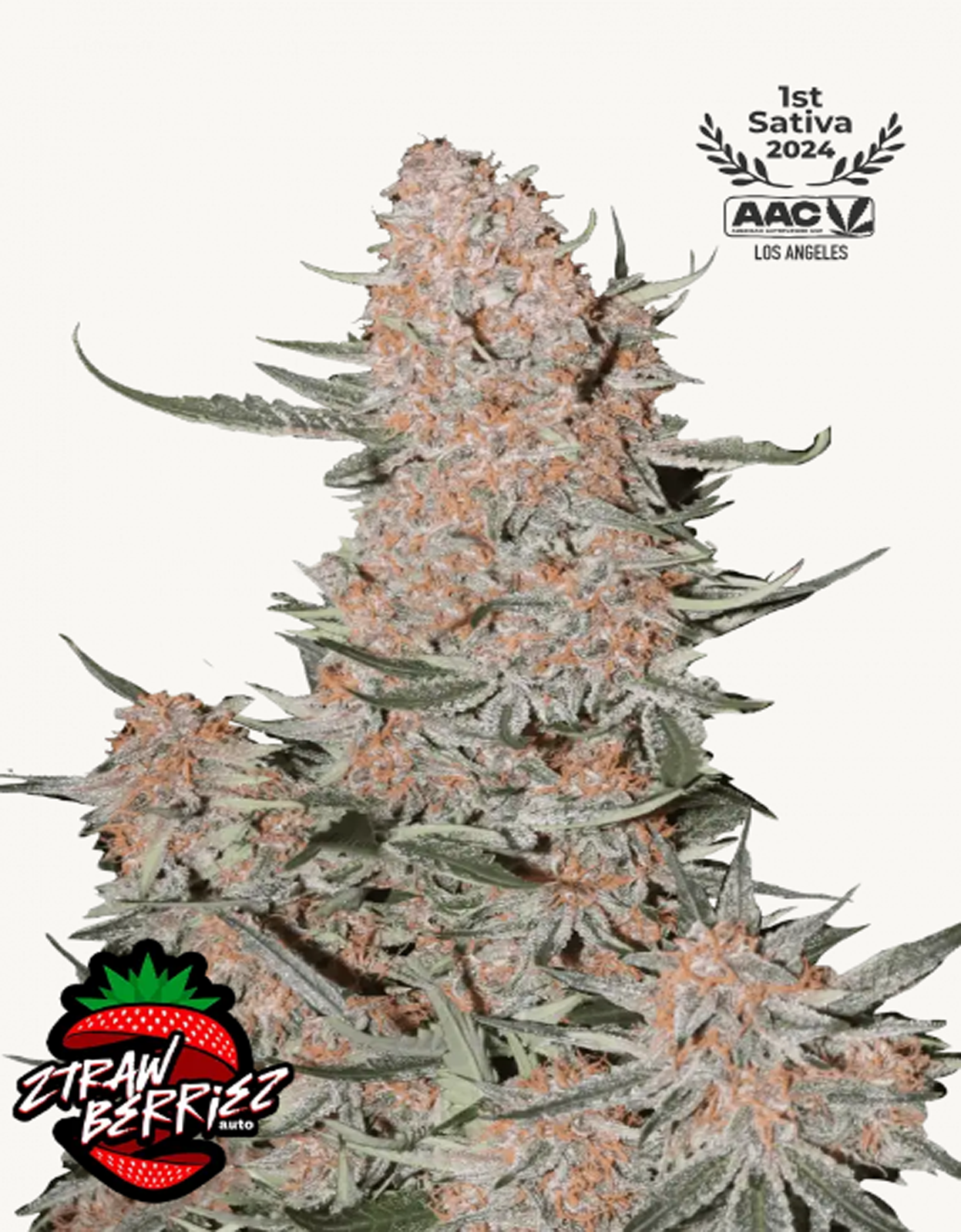 42FastBuds - Blue Dream Auto